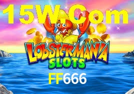 Premium Interface FF666